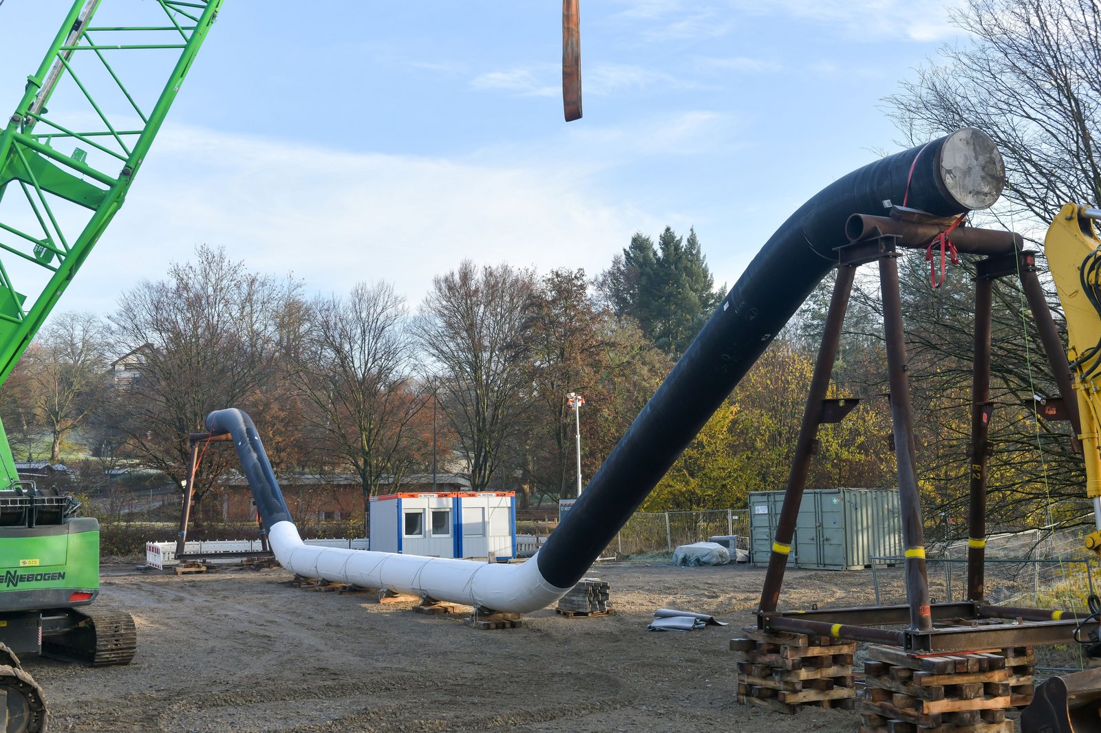 Düker aus der Nähe