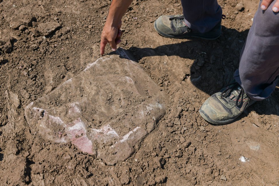 Archäologische Überraschungsfunde an der SEL