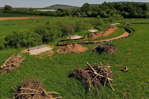 Artenschutz vor dem Bau der SEL: Neues Zuhause für Zauneidechsen 
