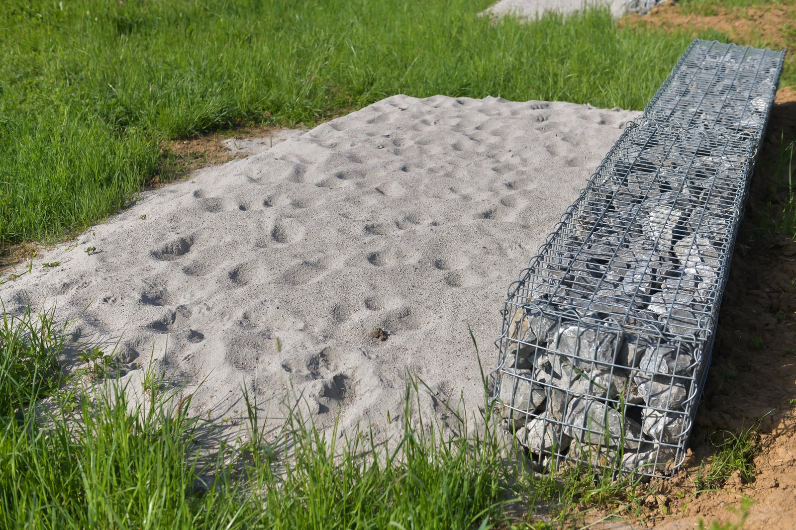Artenschutz vor dem Bau der SEL: Neues Zuhause für Zauneidechsen 