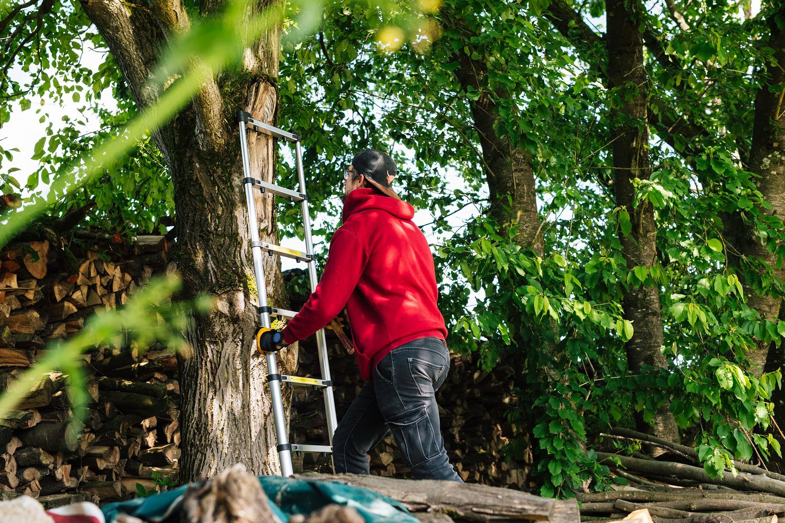 Vorbereitende Maßnahmen für den Bau der SEL: Nistkästen Gartenrotschwanz