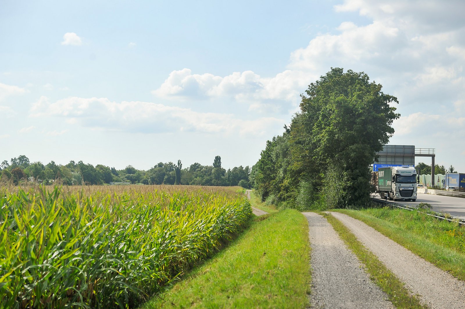 terranets SEL Bodenschutz, Rechte und Entschädigung 