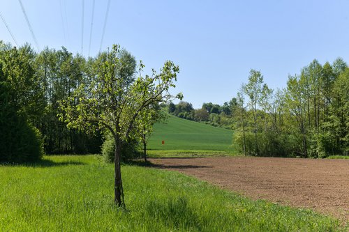 Vorher und Nachher im Vergleich: Wiederherstellung der Trasse von Heilbronn bis Löchgau